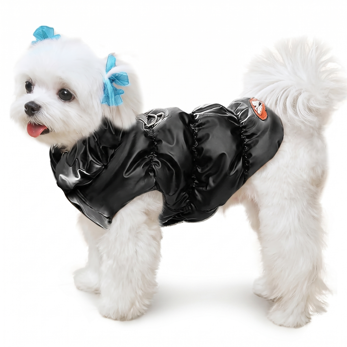 Dog Winter Puffer Jacket Warm Padded Vest with Buckle for Small Dogs & Puppies