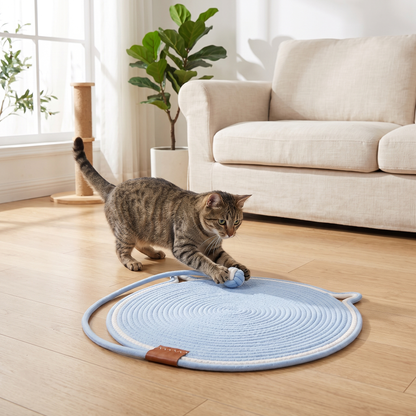 Interactive Cat Scratch Mat with Hanging Ball – Wear-Resistant Cat Play Mat