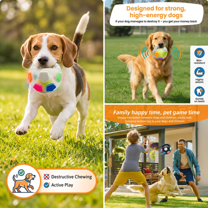 Interactive Dog Training Ball – Grip Handle Soccer Toy for Active Play