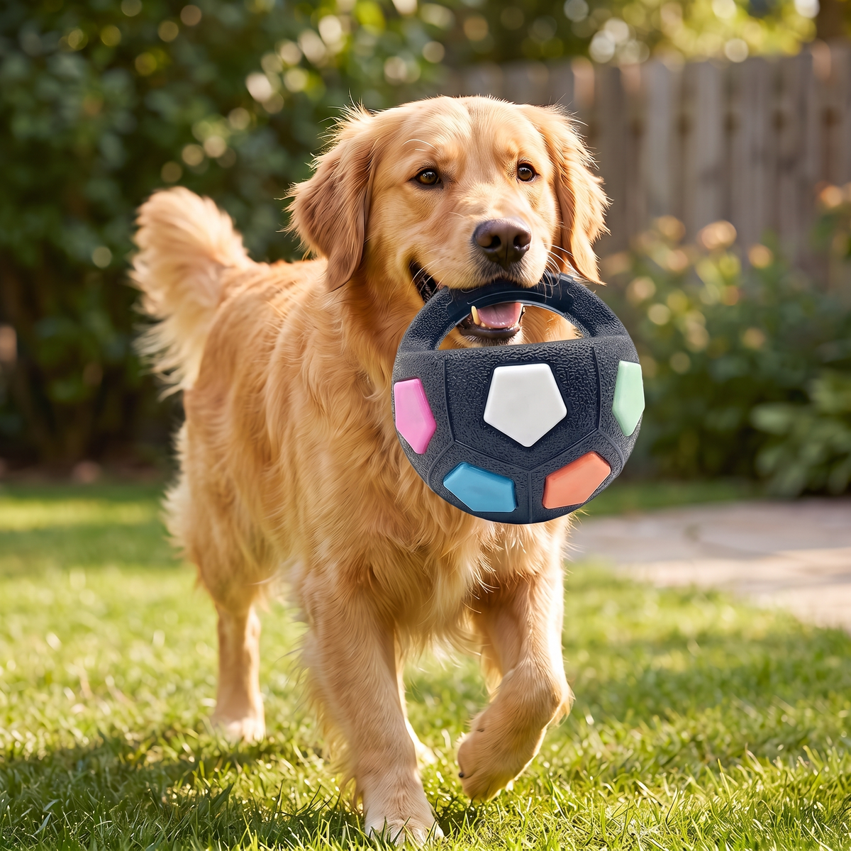 Interactive Dog Training Ball – Grip Handle Soccer Toy for Active Play
