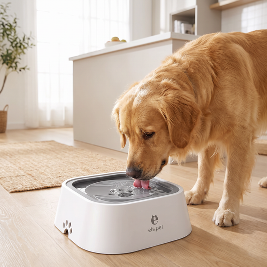 No-Spill Floating Dog Water Bowl – Slow Drinking Anti-Splash Pet Bowl for Dry Mouth & Fur