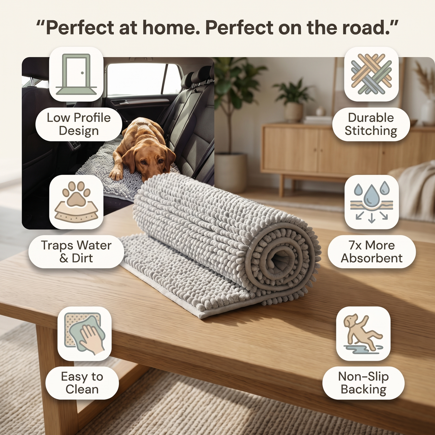 Absorbent Chenille Dog Door Mat – Soft Non-Slip Mud & Moisture Trapping Pet Paw Mat