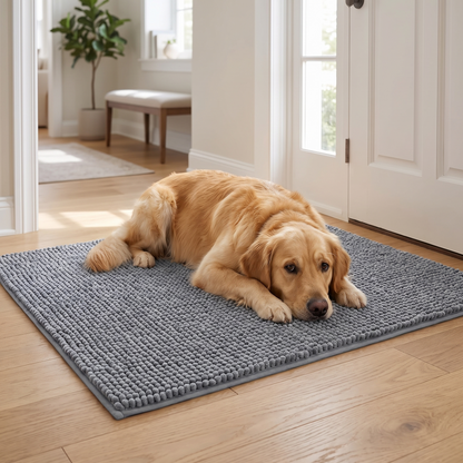 Absorbent Chenille Dog Door Mat – Soft Non-Slip Mud & Moisture Trapping Pet Paw Mat
