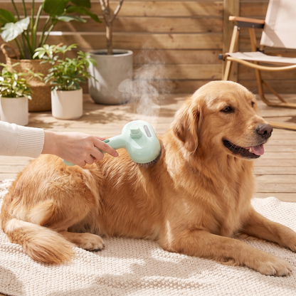 2-in-1 Dog Steam Brush – Deshedding & Grooming