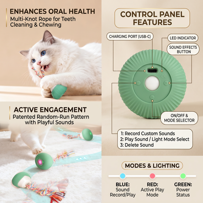Smart Cat Toy Automatic Rotating Rope Teaser Ball Interactive Self Play Toy