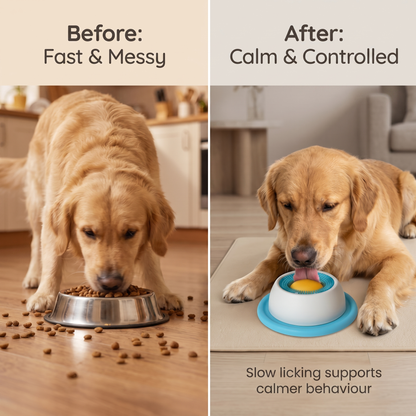 Interactive Dog Licking Bowl – Anti-Tip Slow Feeder with Rotating Treat Ball