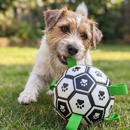 Interactive Dog Soccer Ball – Bite-Resistant Football Toy with Grab Tabs for Training & Play
