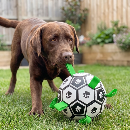 Interactive Dog Soccer Ball – Bite-Resistant Football Toy with Grab Tabs for Training & Play
