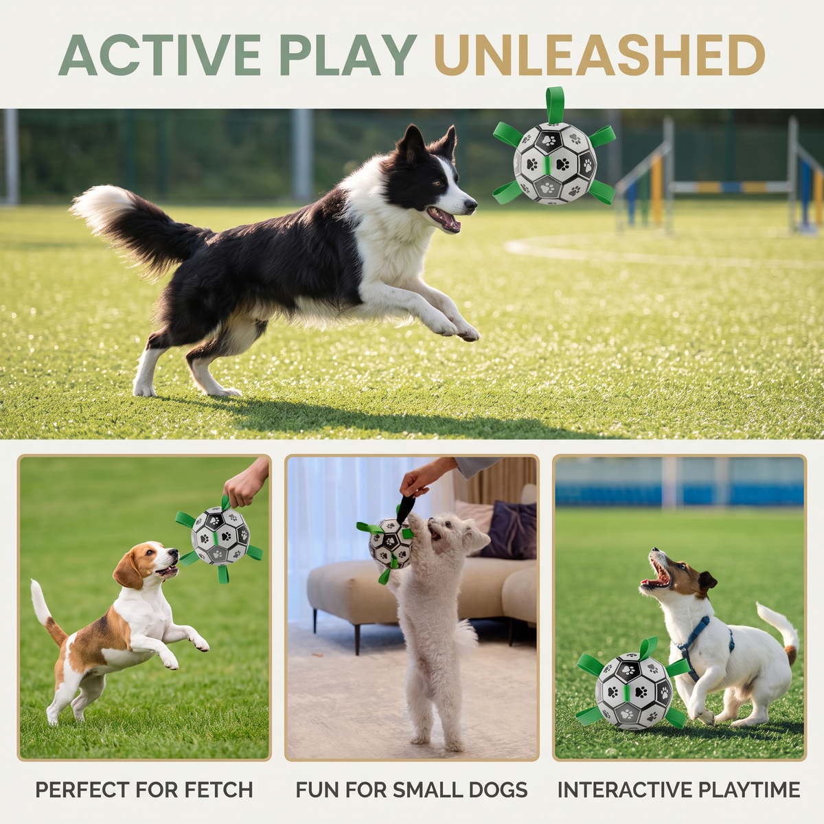 Interactive Dog Soccer Ball – Bite-Resistant Football Toy with Grab Tabs for Training & Play
