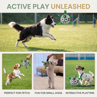 Interactive Dog Soccer Ball – Bite-Resistant Football Toy with Grab Tabs for Training & Play