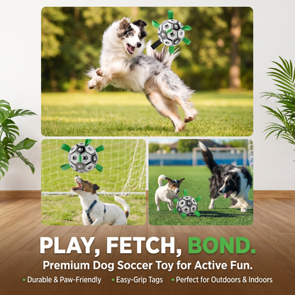 Interactive Dog Soccer Ball – Bite-Resistant Football Toy with Grab Tabs for Training & Play