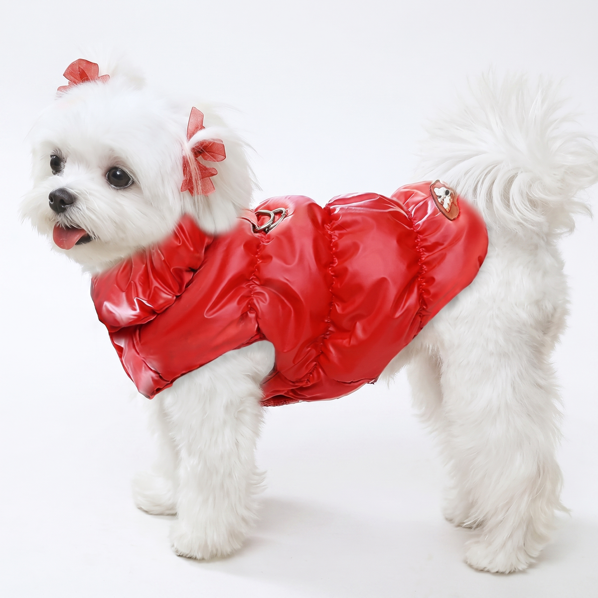 Dog Winter Puffer Jacket Warm Padded Vest with Buckle for Small Dogs & Puppies