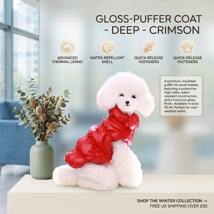 Dog Winter Puffer Jacket Warm Padded Vest with Buckle for Small Dogs & Puppies