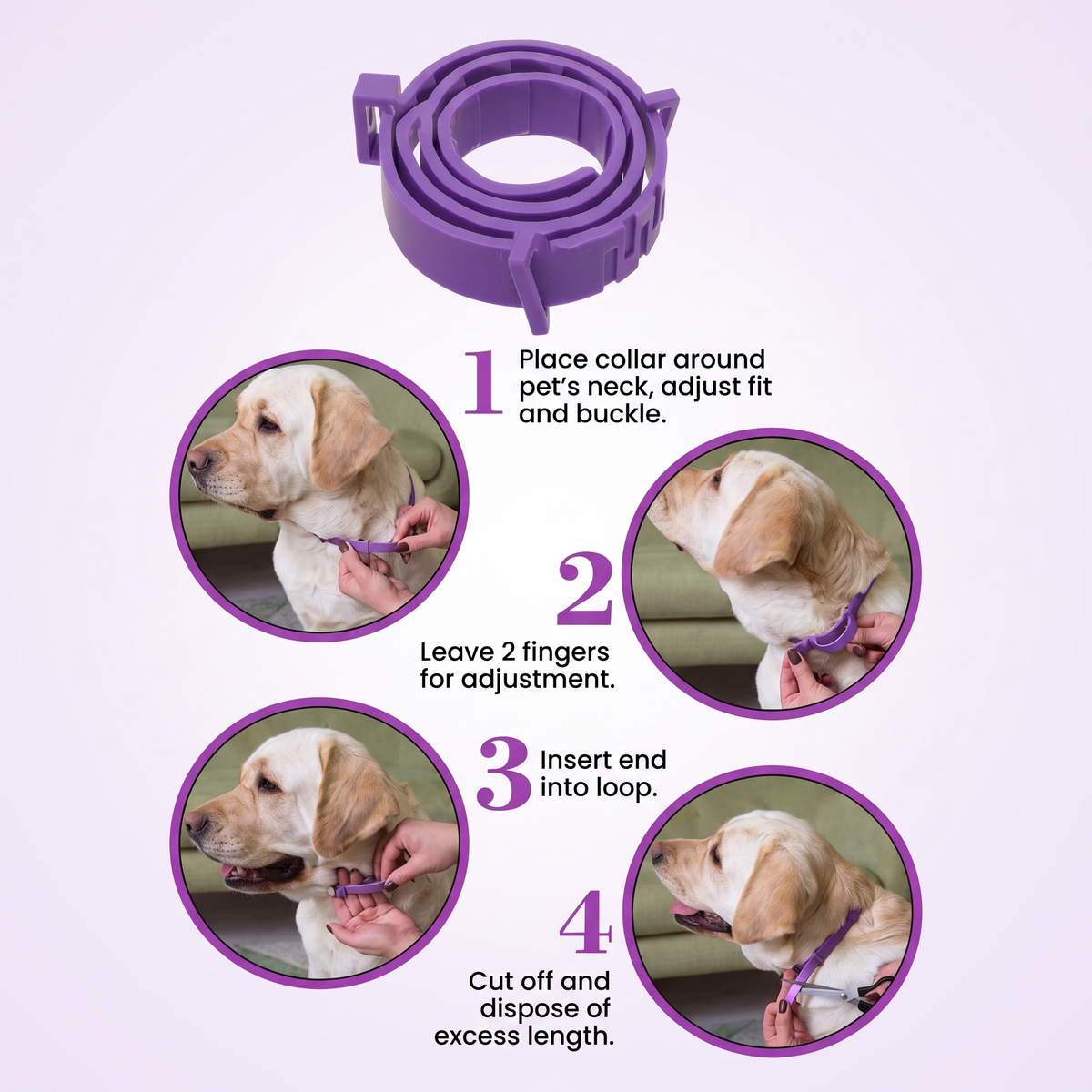 Dog Calming Collar – Adjustable Soothing Pet Collar for Stress & Everyday Comfort