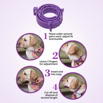 Dog Calming Collar – Adjustable Soothing Pet Collar for Stress & Everyday Comfort