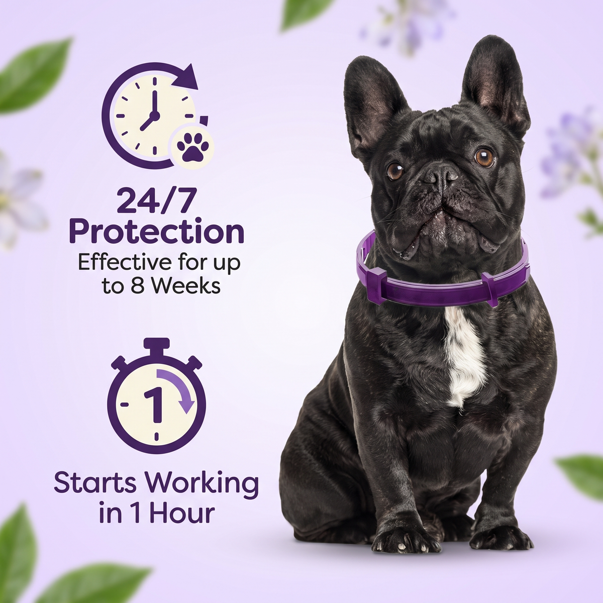 Dog Calming Collar – Adjustable Soothing Pet Collar for Stress & Everyday Comfort