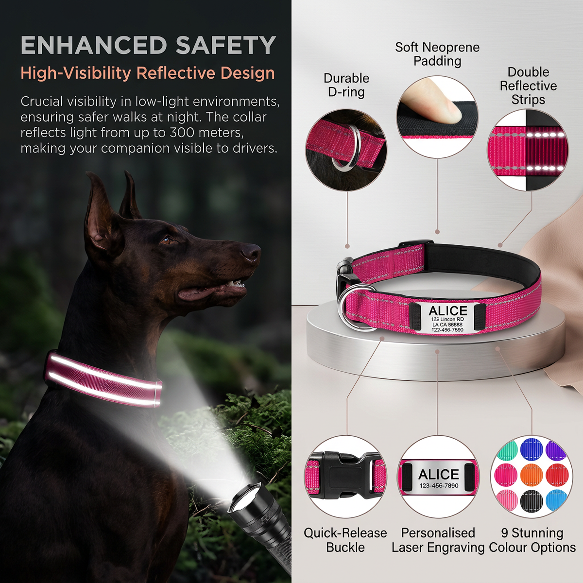 Personalized Nylon Dog Collar with Engraved Identification Plate