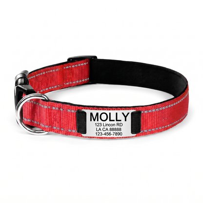 Personalized Nylon Dog Collar with Engraved Identification Plate