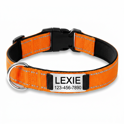 Personalized Nylon Dog Collar with Engraved Identification Plate