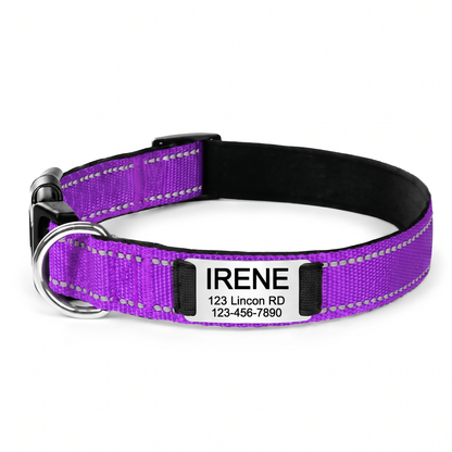 Personalized Nylon Dog Collar with Engraved Identification Plate