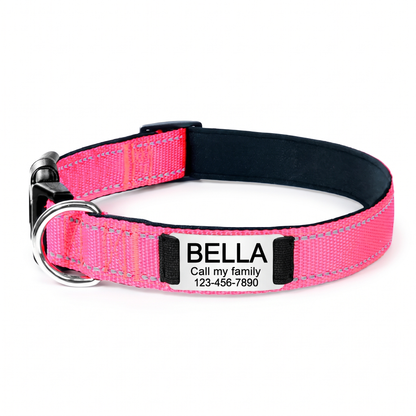 Personalized Nylon Dog Collar with Engraved Identification Plate