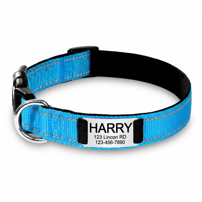 Personalized Nylon Dog Collar with Engraved Identification Plate