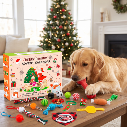 Christmas Dog Advent Calendar with Toys & Accessories
