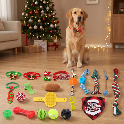 Christmas Dog Advent Calendar with Toys & Accessories