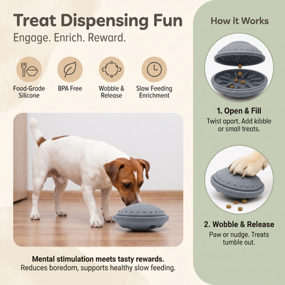 Dog Treat Dispensing Flying Saucer Toy