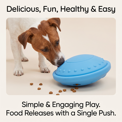 Dog Treat Dispensing Flying Saucer Toy