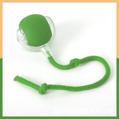 Interactive Dog Ball with Tail – More Fun, Exercise & Entertainment